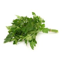 Кинза ~1 кг - купить с доставкой на дом в Купер