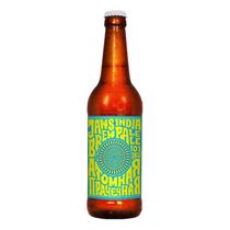 Пиво Jaws Brewery Атомная прачечная Extra IPA светлое нефильтрованное ...