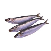 Сардины охлажденные - купить с доставкой на дом в Купер