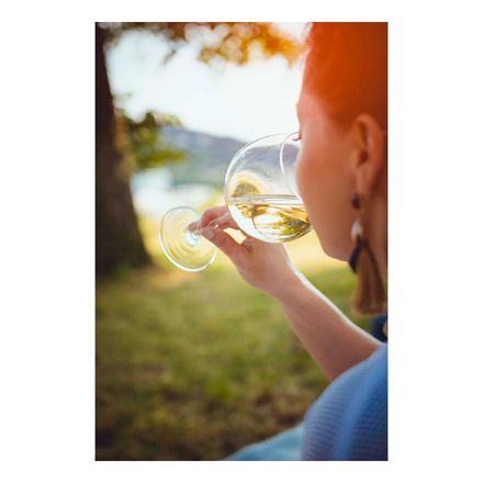 Вино - купить по низкой цене самовывозом из магазина рядом с домом в Купер