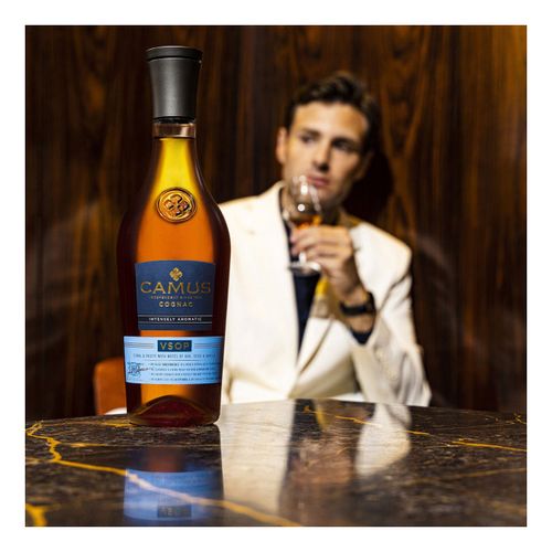 Коньяк Camus Elegans VSOP 500 мл