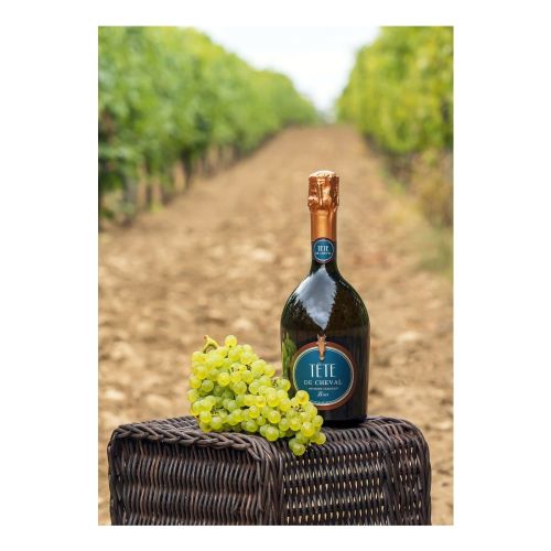 Вино игристое Tete De Cheval белое брют 750 мл Россия