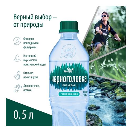 Вода питьевая Черноголовка газированная 500 мл