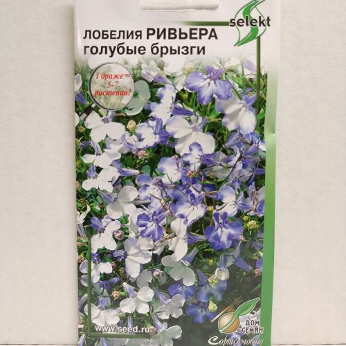 Домашние фото геев Лобелия Ривьера Голубые Брызги 10 семян - купить с доставкой на дом в Купер