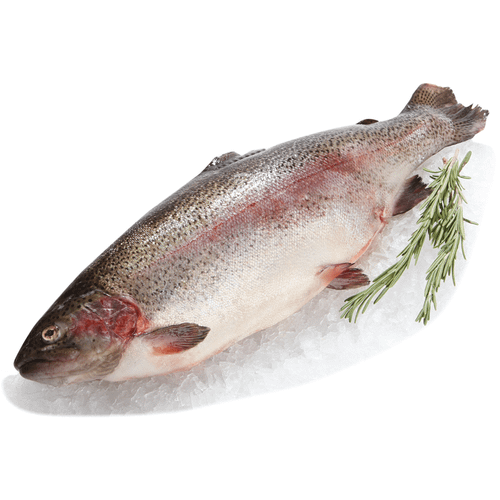 Форель радужная охлажденная непотрошеная ~1 кг - купить с доставкой на ...
