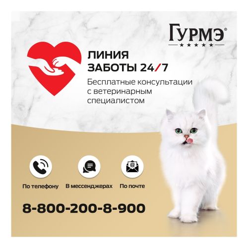 Влажный корм Гурмэ Перл Соус де-Люкс с говядиной в роскошном соусе для кошек 75 г