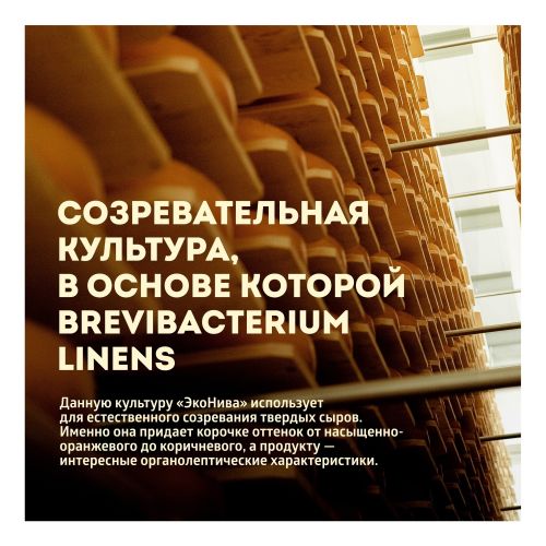 Сыр твердый Дюрр Классика Dürr Classic 50%, 6 месяцев выдержки, ЭкоНива, 200 г