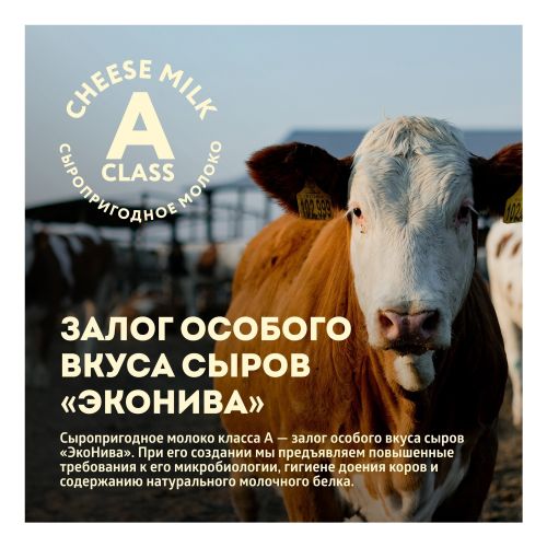 Сыр твердый Дюрр Классика Dürr Classic 50%, 6 месяцев выдержки, ЭкоНива, 200 г