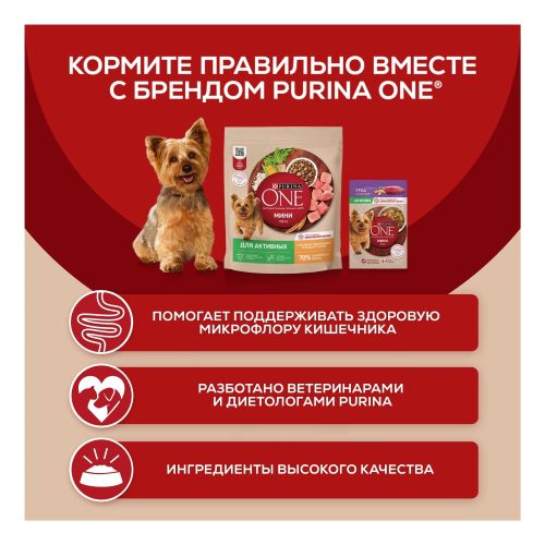Влажный корм Purina One Мини утка-зеленая фасоль для активных собак 85 г