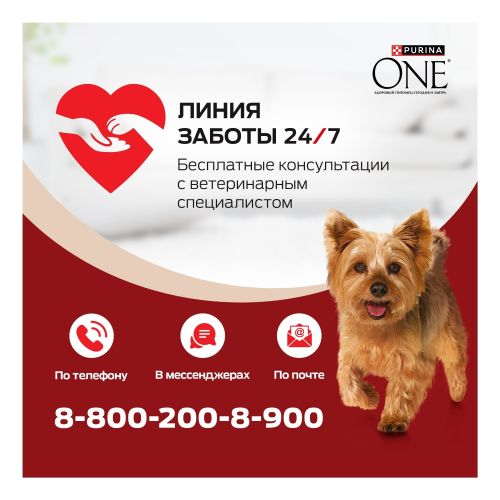 Влажный корм Purina One Мини утка-зеленая фасоль для активных собак 85 г
