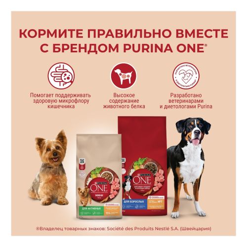 Корм для собак Purina One с говядиной и с рисом 600 г