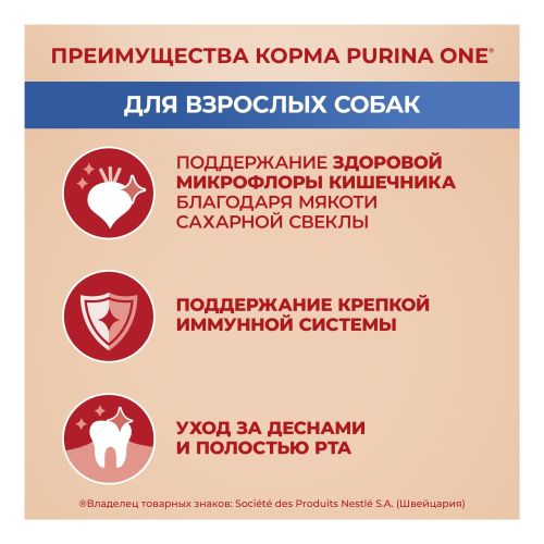 Корм для собак Purina One с говядиной и с рисом 600 г