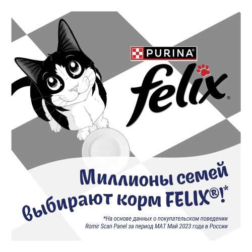 Влажный корм Felix Аппетитные кусочки лосось для кошек 75 г