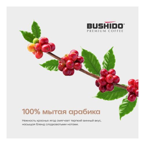 Кофе Bushido Red Katana растворимый 100 г