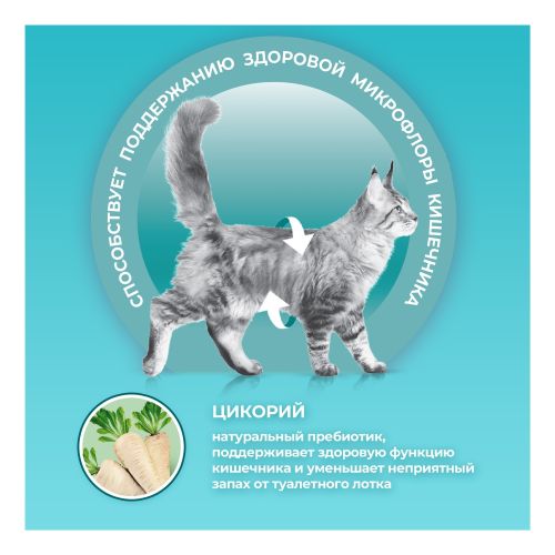 Сухой корм Purina One для взрослых кошек живущих в домашних условиях с высоким содержанием индейки и цельными злаками 200 г