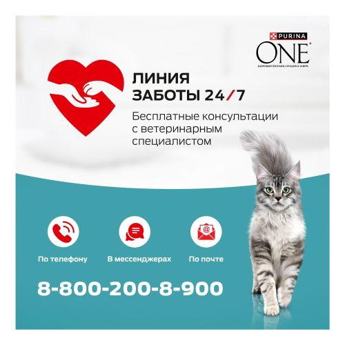 Влажный корм Purina One для взрослых кошек с говядиной и морковью 75 г