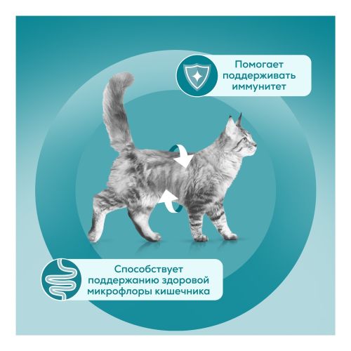 Влажный корм Purina One для домашних кошек с курицей и морковью 75 г