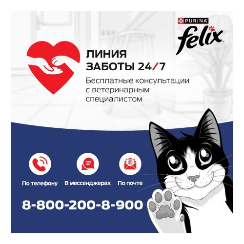Влажный корм Felix Аппетитные Кусочки для взрослых кошек с индейкой в желе 75 г