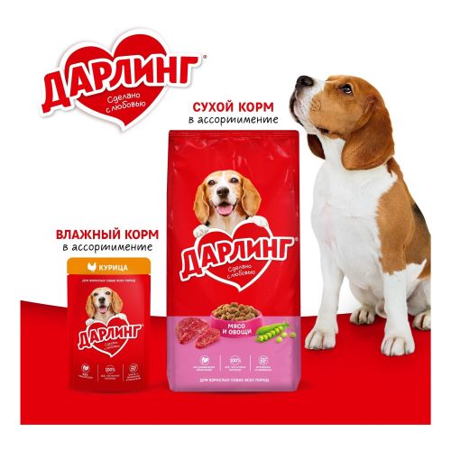 Влажный корм Дарлинг для взрослых собак кусочки с говядиной в подливе 75 г