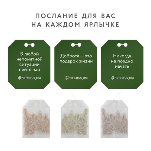 Чай чёрный Herbarus Чабрец-Мята в пакетиках 2 г х 24 шт