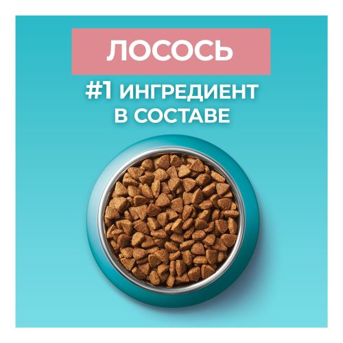 Сухой корм Purina One для стерилизованных кошек и кастрированных котов с высоким содержанием лосося и пшеницей 200 г