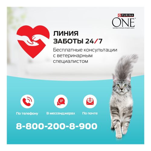 Сухой корм Purina One для стерилизованных кошек и кастрированных котов с высоким содержанием лосося и пшеницей 200 г