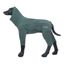 Комбинезон для собак Rukka Pets Protect зеленый 35 - купить с доставкой ...