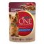 Влажный корм Purina One с курицей-морковью-зеленой фасолью повседневный для собак 85 г