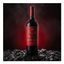 Вино Concha Y Toro Diablo Dark Red красное полусухое 750 мл Чили