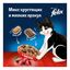 Сухой корм Felix Двойная Вкуснятина для взрослых кошек с говядиной 200 г