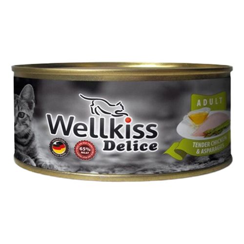 Влажный корм для кошек Wellkiss 100 г