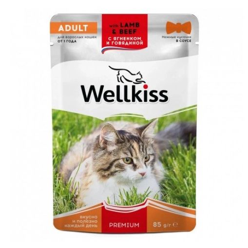 Wellkiss 85 г