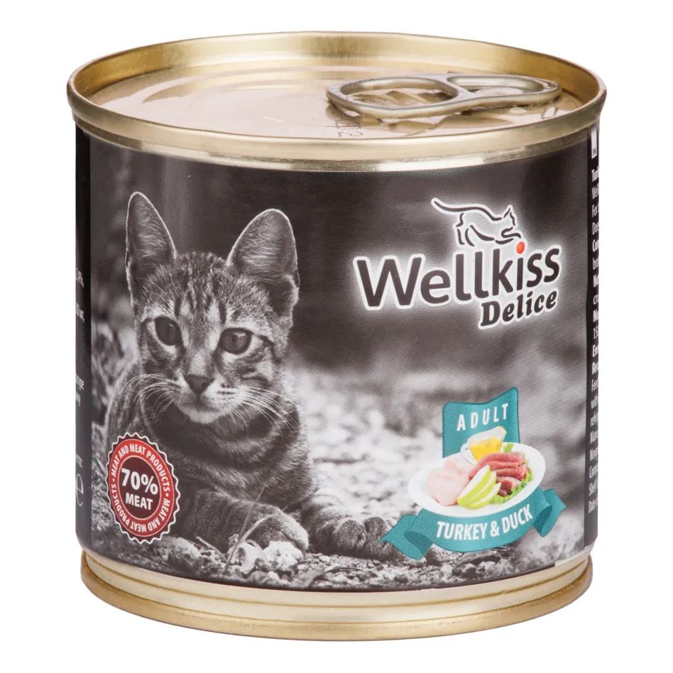Влажный корм для кошек Wellkiss 240 г