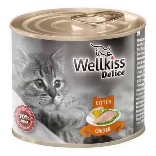 Влажный корм для кошек Wellkiss 240 г