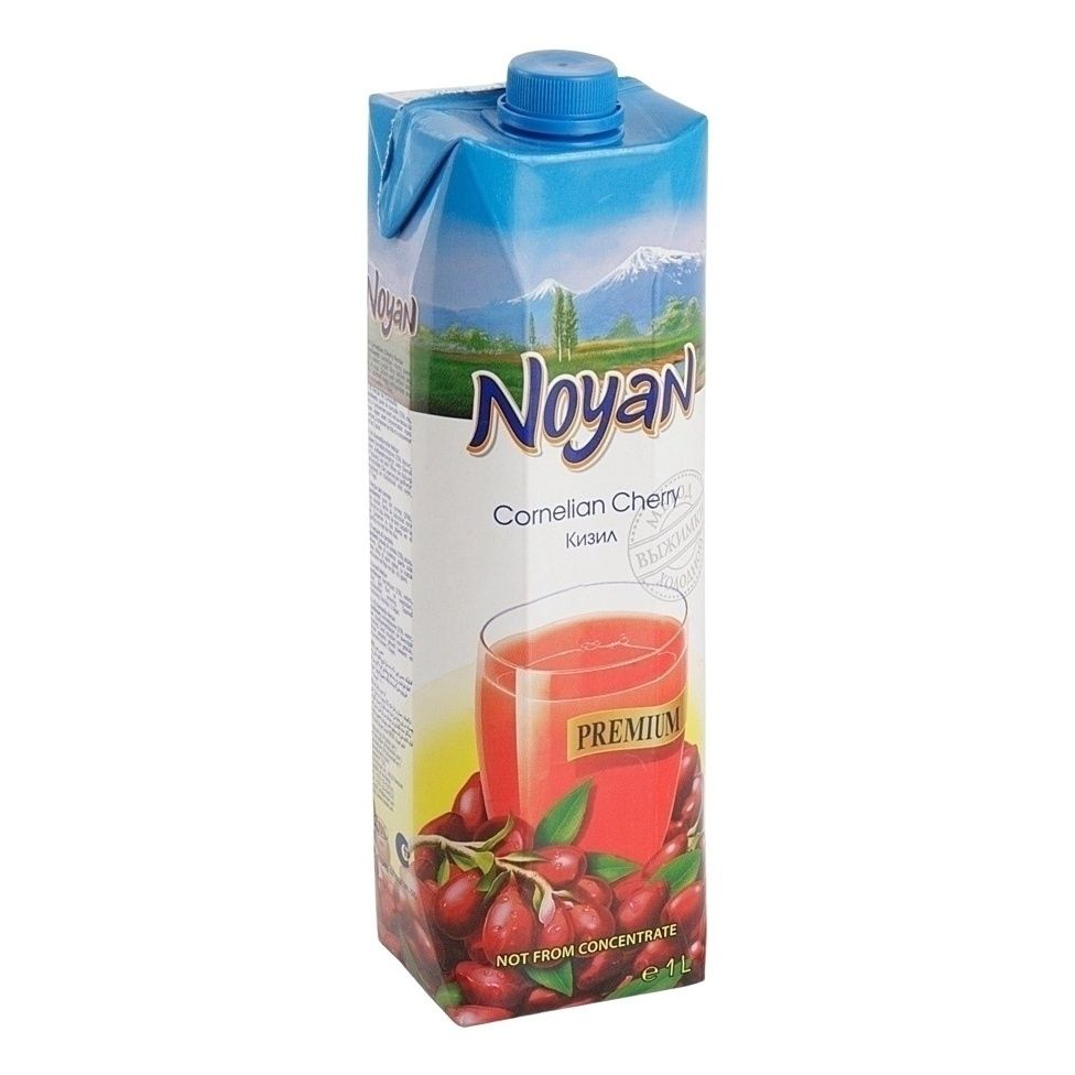 Нектар Noyan 1 л