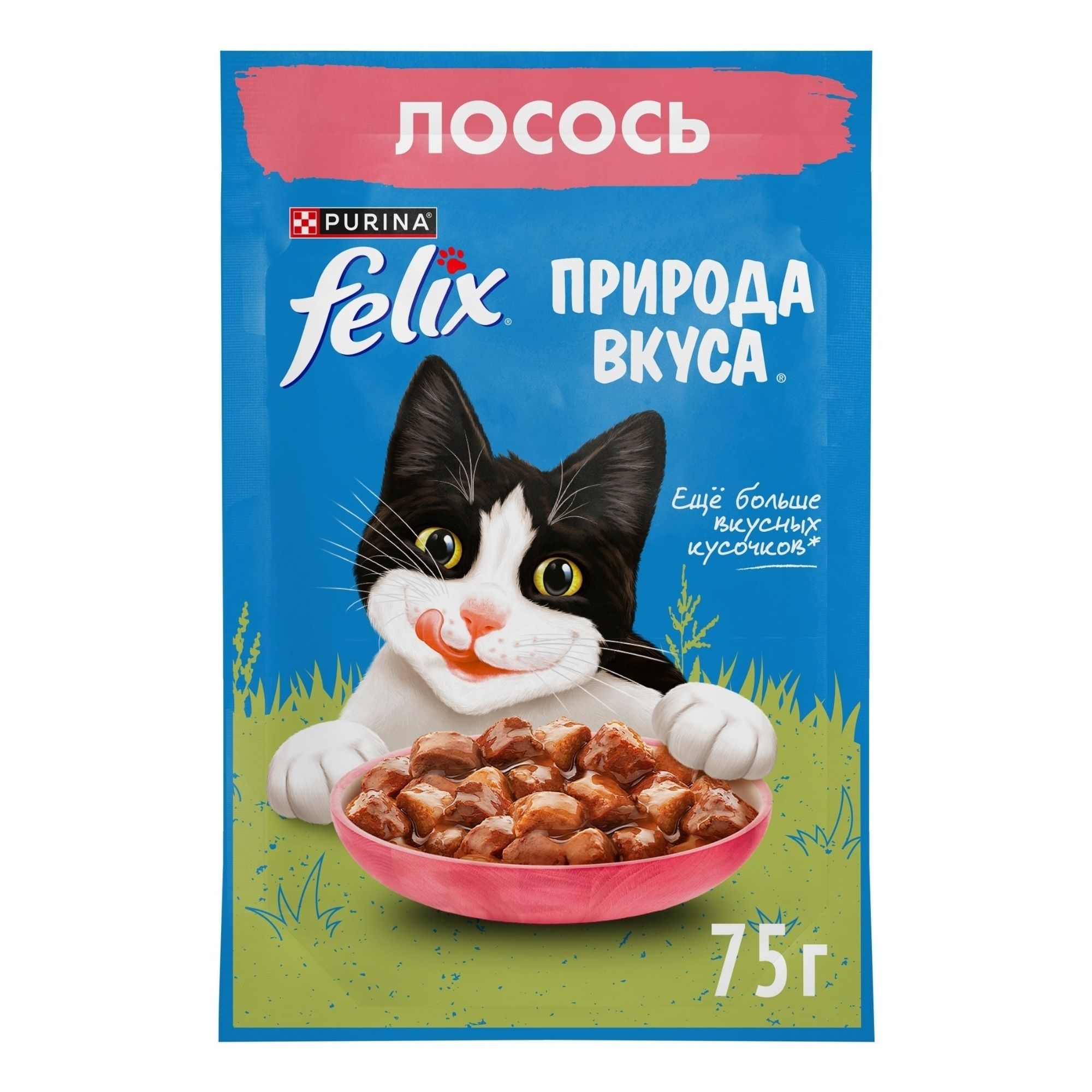 Тайд Альпийская свежесть 450 г