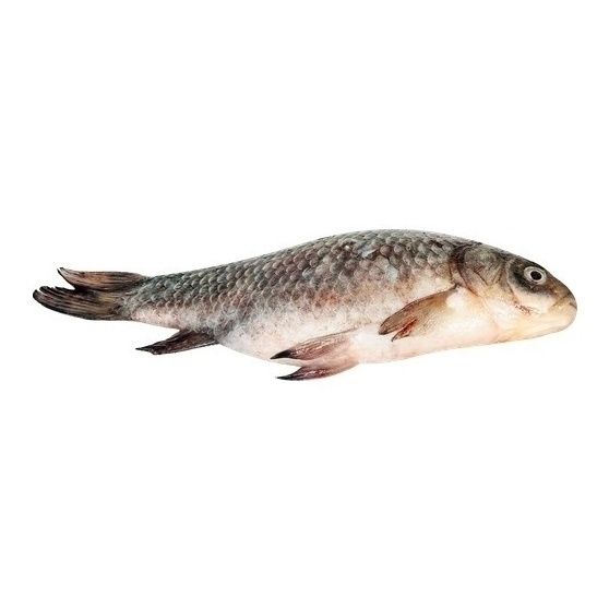 Лента Fresh 1 кг