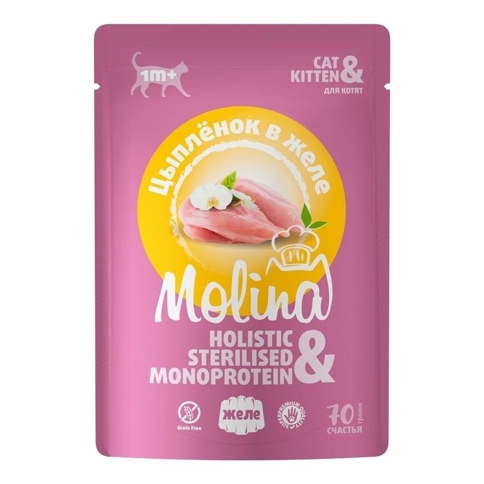 Влажный корм для кошек Molina 70 г