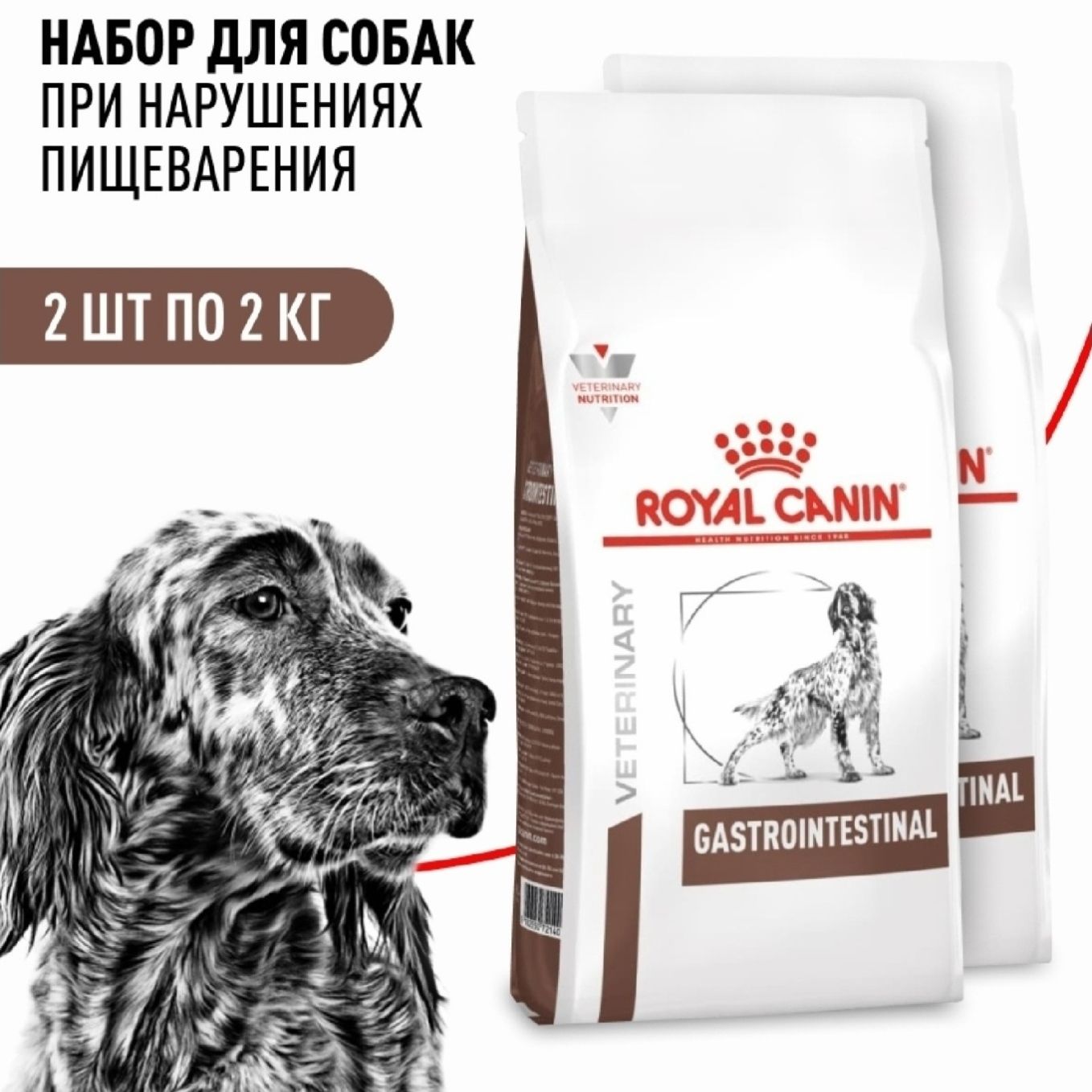 Сравнить цены на Роял Канин  2 кг