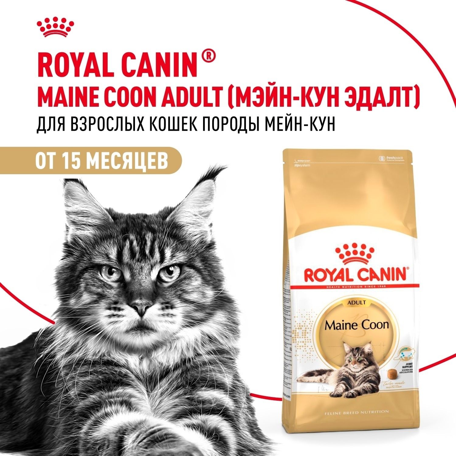 Роял Канин Maine Coon 4 кг