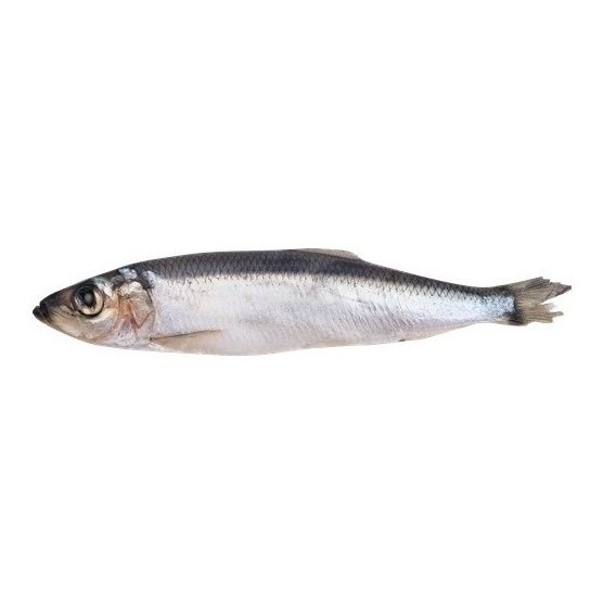 Лента Fresh 1 кг