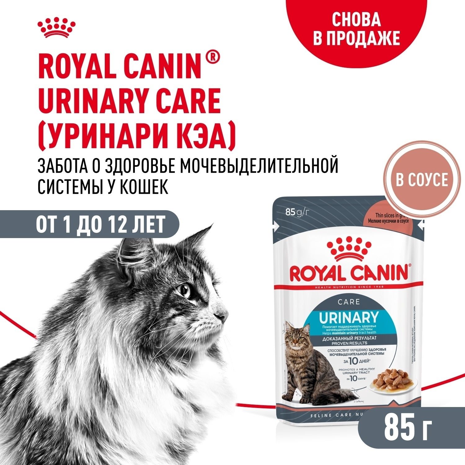 Влажный корм для кошек Роял Канин Urinary Care 850 г