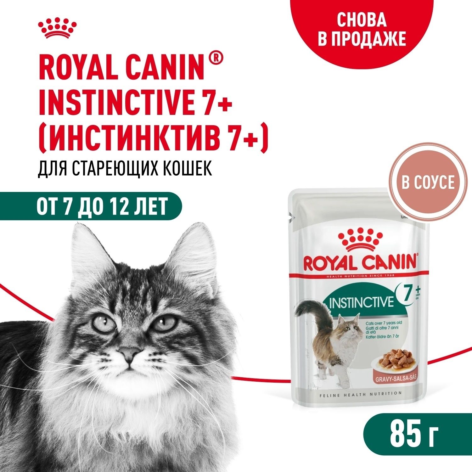 Влажный корм для кошек Роял Канин 850 г