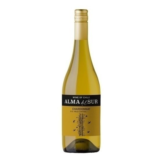 Белое сухое вино Vina de Aguirre Шардоне 0,75 л